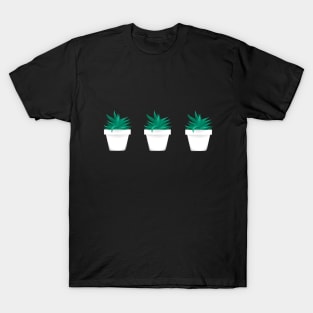 Succulent Plants T-Shirt